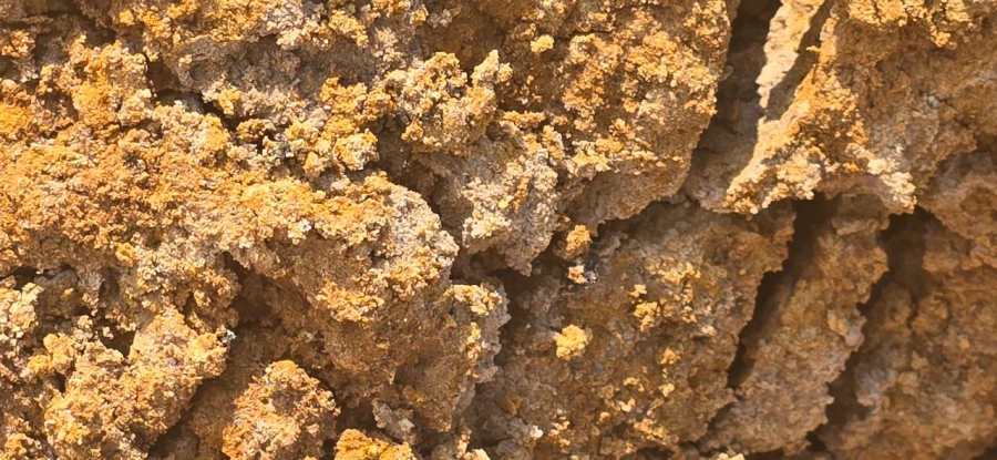 0 Bedroom Property for Sale in Hoopstad Rural Free State